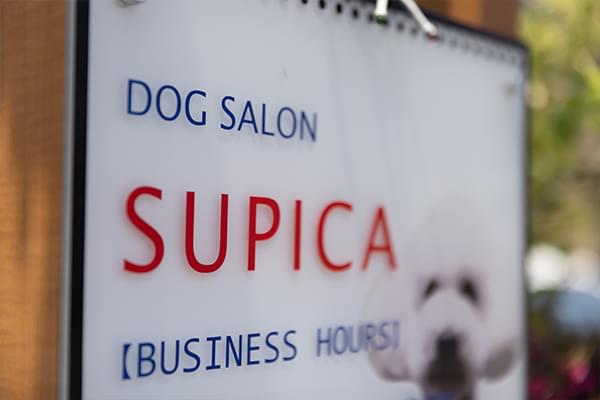 Dog Salon Supica