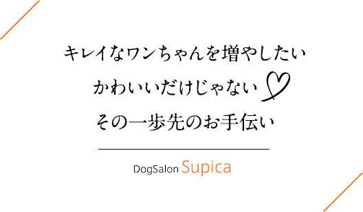 Dog Salon Supica キレイなワンちゃんを増やしたい かわいいだけじゃない その一歩先のお手伝い