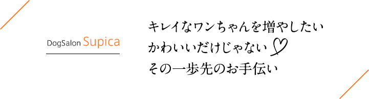 Dog Salon Supica キレイなワンちゃんを増やしたい かわいいだけじゃない その一歩先のお手伝い