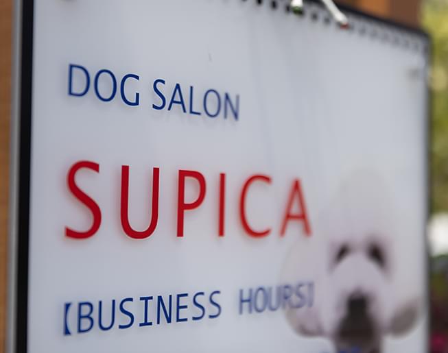 Dog Salon Supica